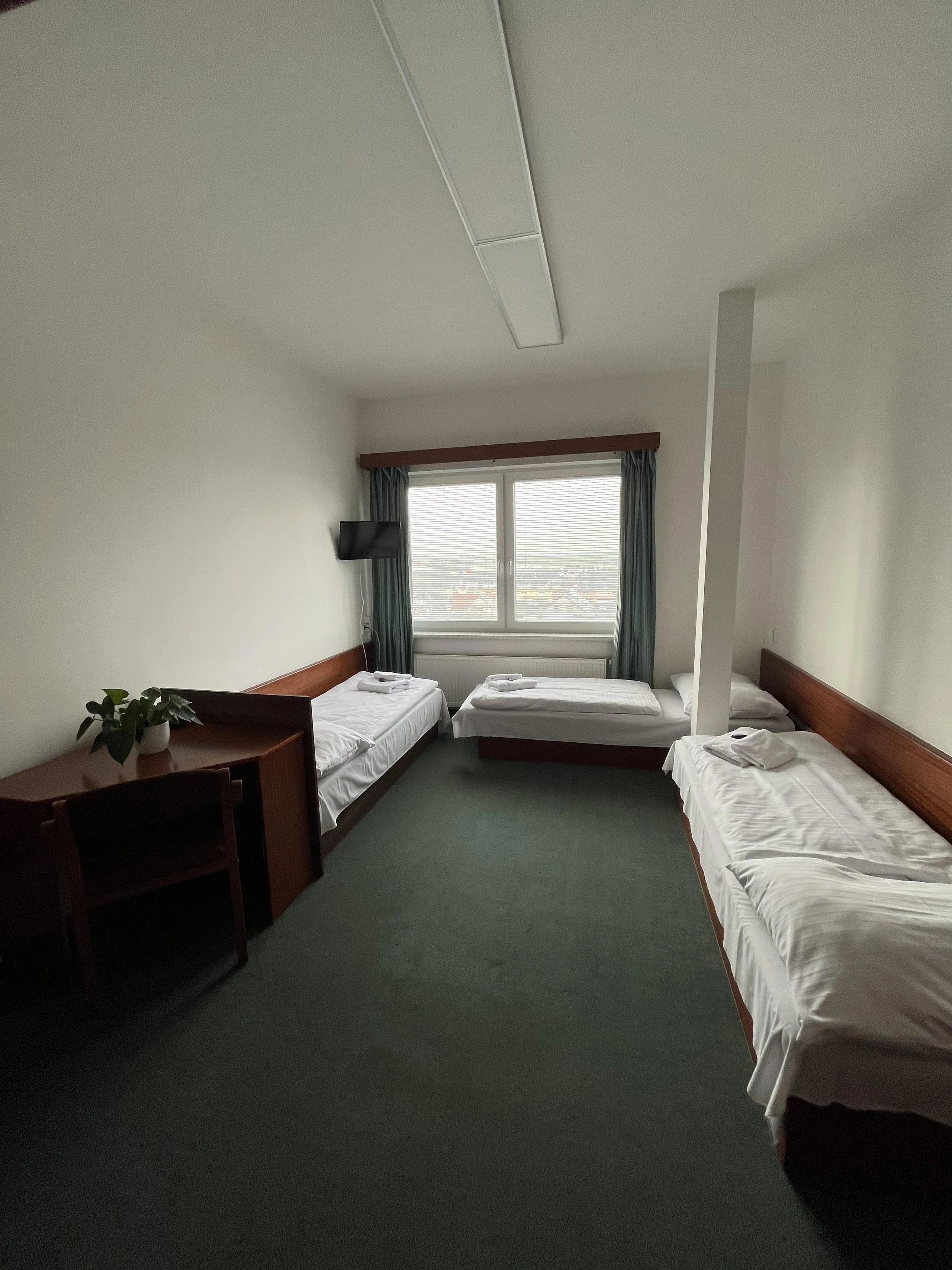 Sports, accommodation, congress and regeneration services